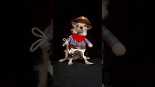 Bunky likes trends AND dressing up