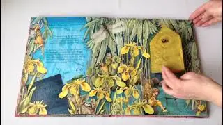 Flower Fairies Magical Doors: Discover the Doors to Fairyopolis