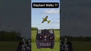 RC airplane, Elephant Walks, mode1, Realflight evolution #rcairplane