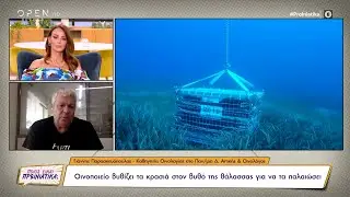 Οινοποιείο βυθίζει τα κρασιά στον βυθό της θάλασσας για να τα παλαιώσει | OPEN TV
