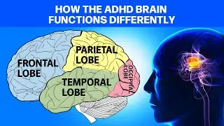 How the ADHD Brain Functions Differently: A Deep Dive