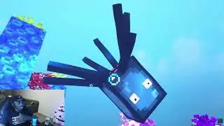 GROX is a VILLAIN! (1,000,000 Villager MANHUNT Reaction)