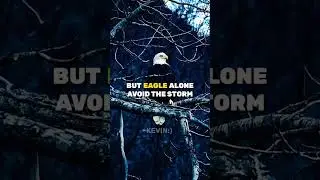 Sigma rule 😎🔥 | Eagle vs Storm | Eagle attitude | motivation #shorts #152