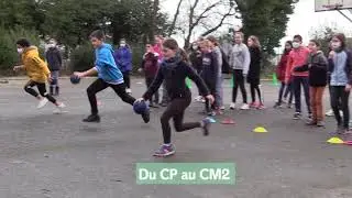 Le service des sports &agrave; l'&eacute;cole