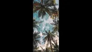 (FREE) Arash x Hugel Type Beat - 