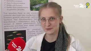 Jak wydobyć DNA banana we własnej kuchni? To proste! | PIKNIK NAUKOWY 2023