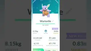 stylish shiny wartortle|Squirtle evolution #pokemon #1k
