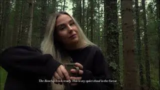 Making Rosehip Tea in the Norwegian Forest | Slow Living & Foraging