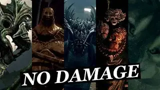 All Bosses & DLC (No Damage) - Dark Souls Remastered