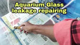 Aquarium Glass Leakage Repair : Fish Tank Making & Setup : Aquarium World Telugu
