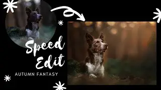 Speed Edit: An Autumn Fantasy, featuring Journey