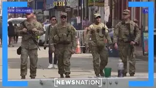 Federal immigration crackdown begins in New Orleans | NewsNation Live