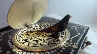 Antique singing bird box. www.singingbirdbox.com