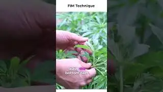 What is  FIM Technique