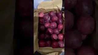 #fruit #iran #apple #export #india #import #urmia 🍎🍎🍎#apple