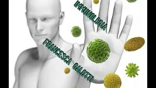 Immunologia, Lezione 4, HLA, APC e citochine