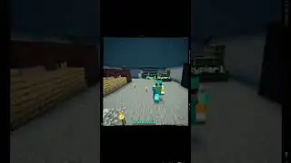 Lotus smp 