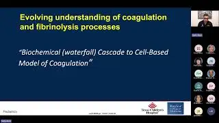 Viscoelastic Assays to Guide Therapy in Children with Acquired Coagulopathy
