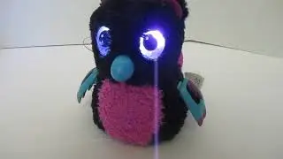 HATCHIMALS BEARAKEET BLACK PINK TEAL SPIN MASTER