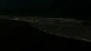 Beach at night 