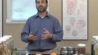 Traditional Chinese Medicine: Spleen Function