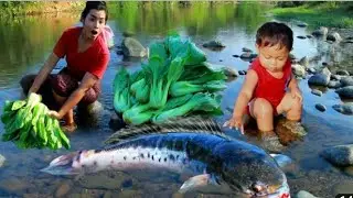 Amazing net fishing| Village women and boy net fishing  on ricefarming ground |village women fishing