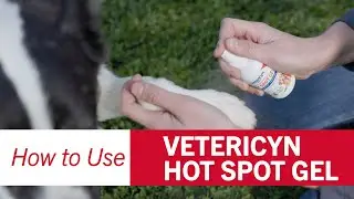 How To Use Vetericyn Antimicrobial Hot Spot Gel