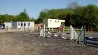 Jordan Francis And Herbie__x