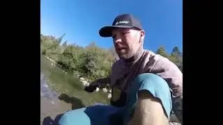 Prospecting the Bear River Ca, is there still gold in it !?