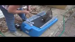 Cheap Dog Treadmill - PetZen DogTread Dog Treadmill