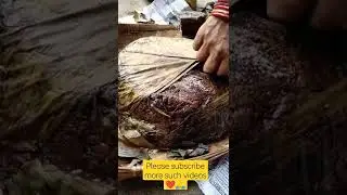 Village Style Odisha's special Poda Pitha! #shorts #kachabadam #village #cooking #odisha