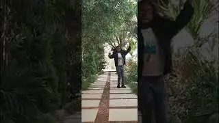 Dance in the Park