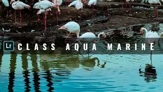 Lightroom Mobile Preset l Class Aqua Marine *New 2020*