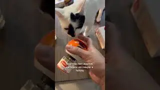 Serenex concorrente do feliway