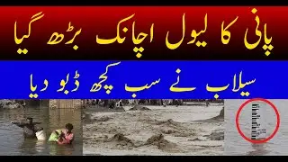 Jhang Mein Pani Ka Tez Reila | Chenab Flood Update | Emergency Alert Jhang Flood 2025