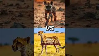 🦁 Wild Showdowns: Clash of the Titans 🐊 | 🐺 Epic Animal Rivalries 🦅#shorts #animalbattle