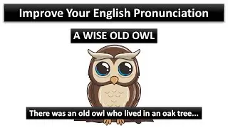 learn english through story | English Story - A Wise Old Owl