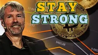 Bitcoin Is Too Cheap Right Now - Michael Saylor  | Investing Facts