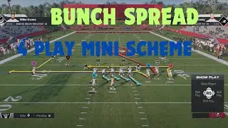 Bunch Spread Mini Scheme - Madden 26