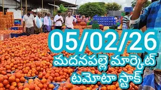 05-02-26 Madanapalle Tomato Market price Today || Today Tomato Market Rate in Madanapalle #today