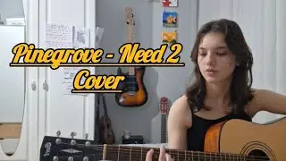 Pinegrove - Need 2 Acoustic Cover (By Tuce)