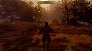 GreedFall spinning glitch