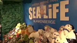 a day @ Sea Life Blankenberge
