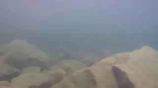 Snorkeling Big Eddy River Access Gold Bar WA