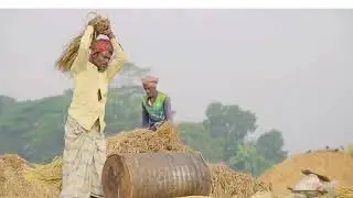 Hard work. Honest living. Farm life.