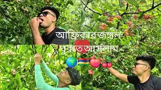 আফ্রিকান জঙ্গল 🇲🇺🍒🌎🌳#TravelDiaries​#AdventureAwaits​#ForestLife​#ExploreTheWild #subscribe #comedy #
