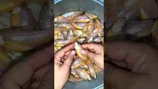 How to clean mandeli fish at home 🐟 | मांडली मच्छली कैसे साफ करे #shorts #seafood #short #viral #bts
