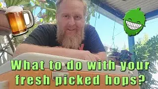 What to do with your fresh picked home grown hops?