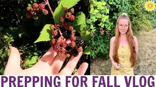 FALL FARM PREP | MAKING SUSTAINABLE STAPLES & LOVING LIFE!
