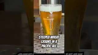 Wheat Grain KRUSHED The Foam Stability #pacificale #homebrewing #krushhops #steepedgrains